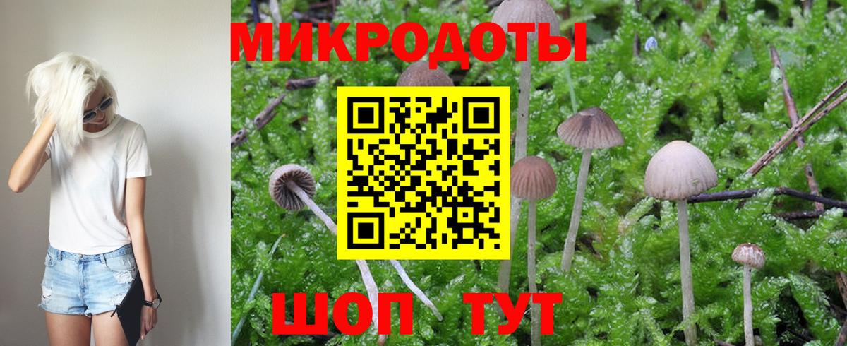 Галлюциногенные грибы Psilocybine cubensis Нововоронеж