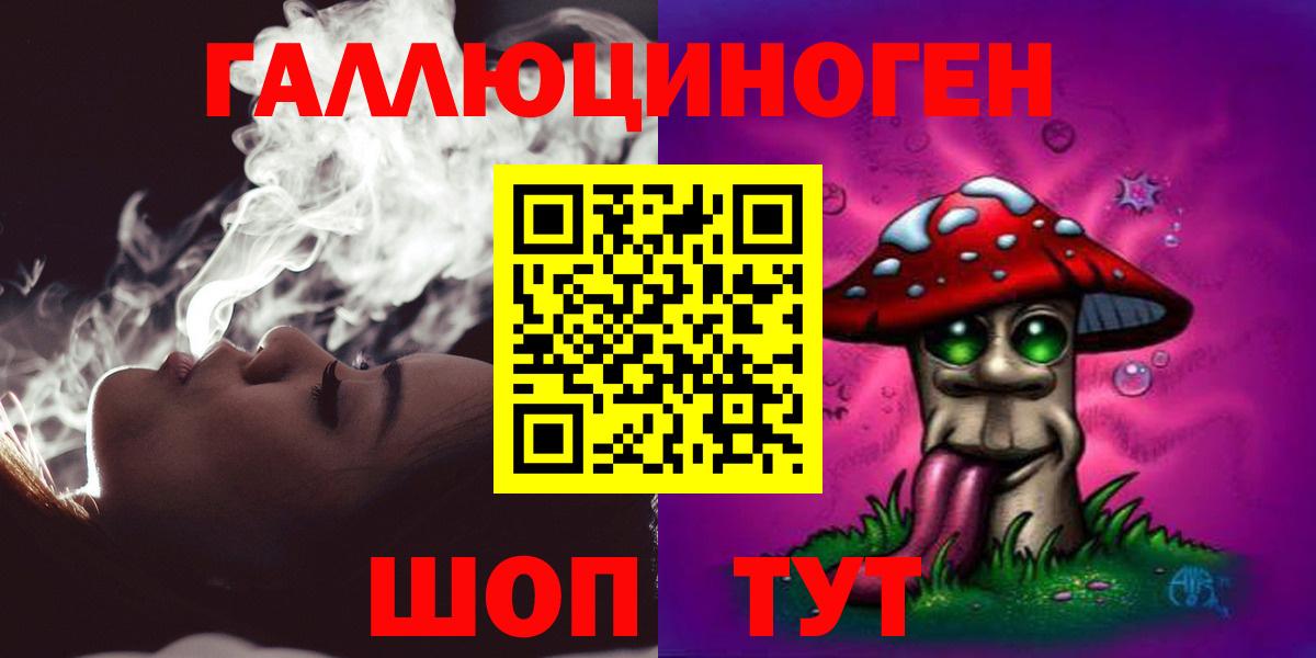магазин  наркотиков  Псилоцибиновые грибы GOLDEN TEACHER  Вход с VPN  Нововоронеж 
