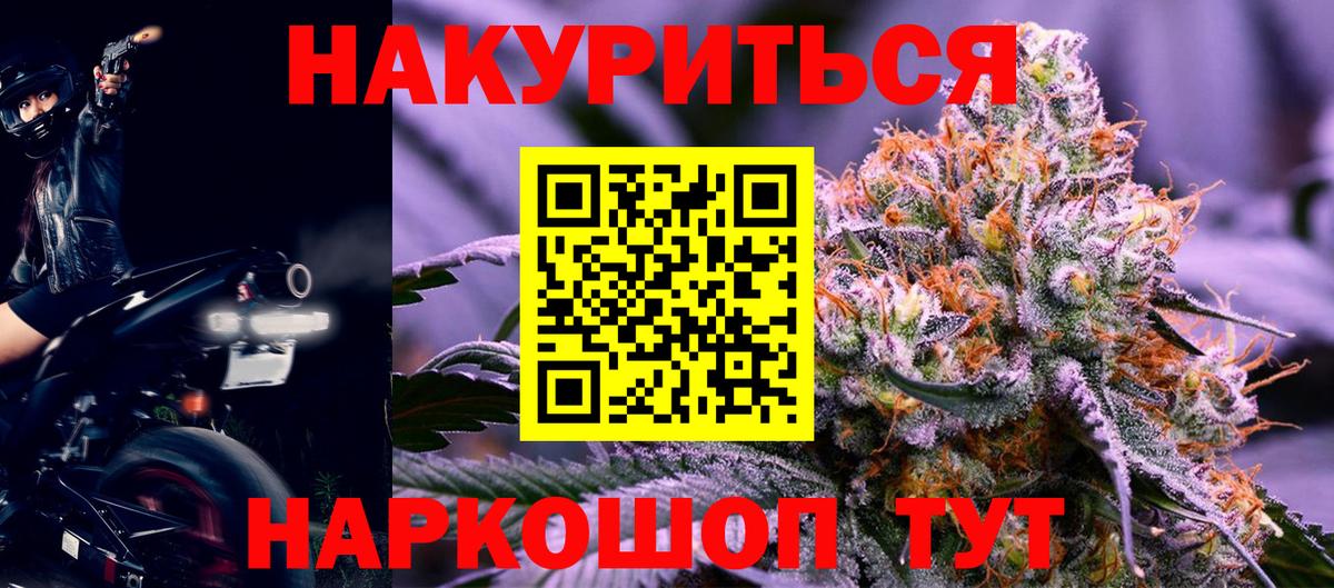 Марихуана сатива Нововоронеж
